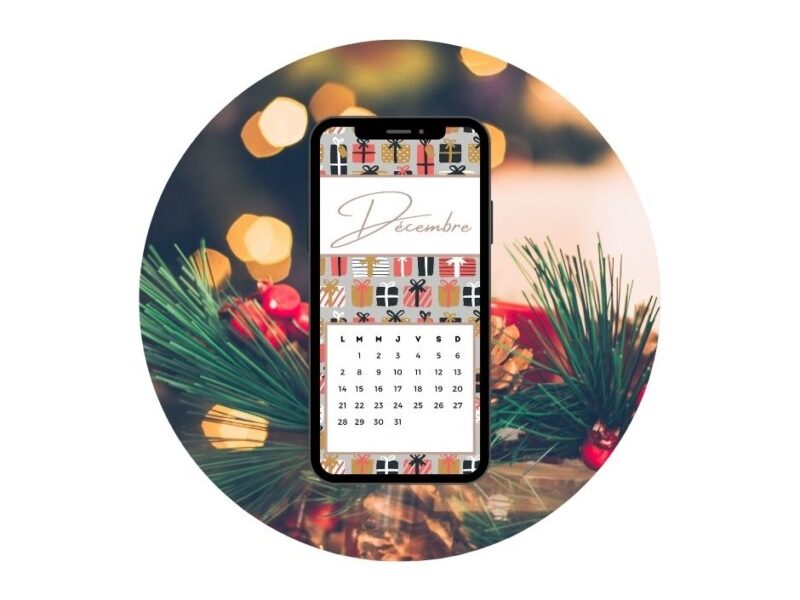 Fond d'écran Décembre 2020 - Modèle 01