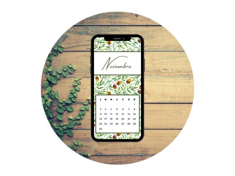 Fond d'écran Novembre 2020 - Modèle 02