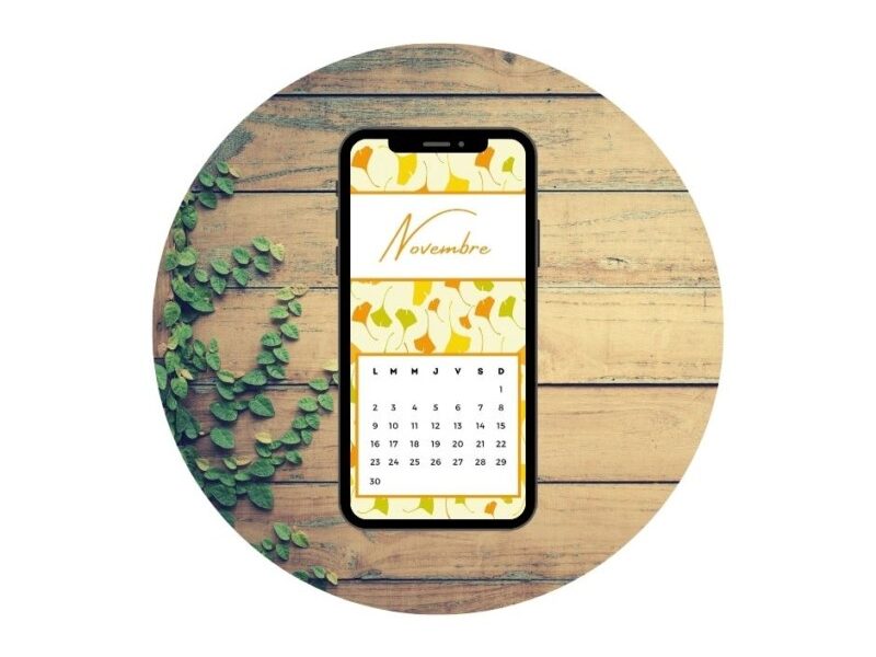 Fond d'écran Novembre 2020 - Modèle 03