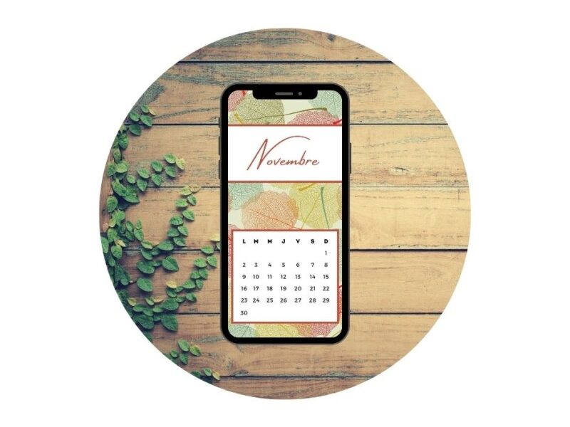 Fond d'écran Novembre 2020 - Modèle 04